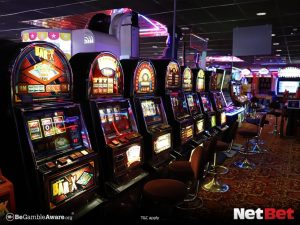 whiskypg - Slot Fácil Bet